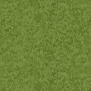 Grass