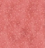 Quilters Combination 4518-060