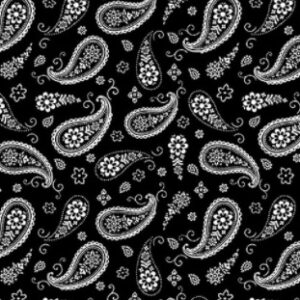 Paradox - Black Paisley