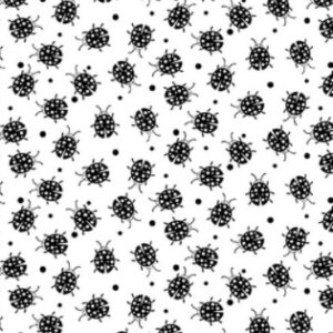 Paradox - Ladybugs