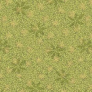 Colour Rhythm - Flowers Lime Green