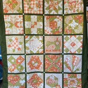 Splendid Sampler Block of the Month - Green/Orange