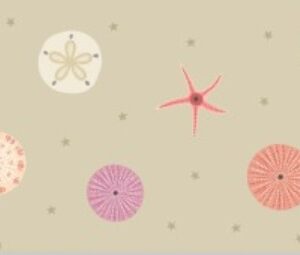 Seashells on Sand SM60.2