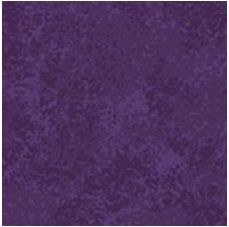 Spraytime - Grape L07