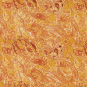 Curated in Colour Orange 7462 13