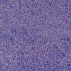 Curated in Colour Purple 7462 18