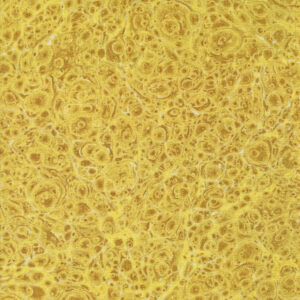 Curated in Colour Yellow 7462 14