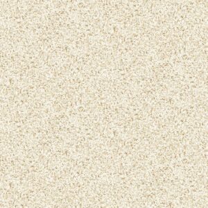 Kasumi Gilt Cream 048Q