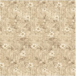 Modern Lace Ivory 3706-41