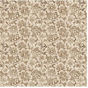 Modern Lace Ivory 3711-41