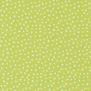 Flower Patches Limeade 21829 18