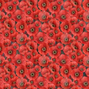 Poppy Meadow Poppies DP29088-97
